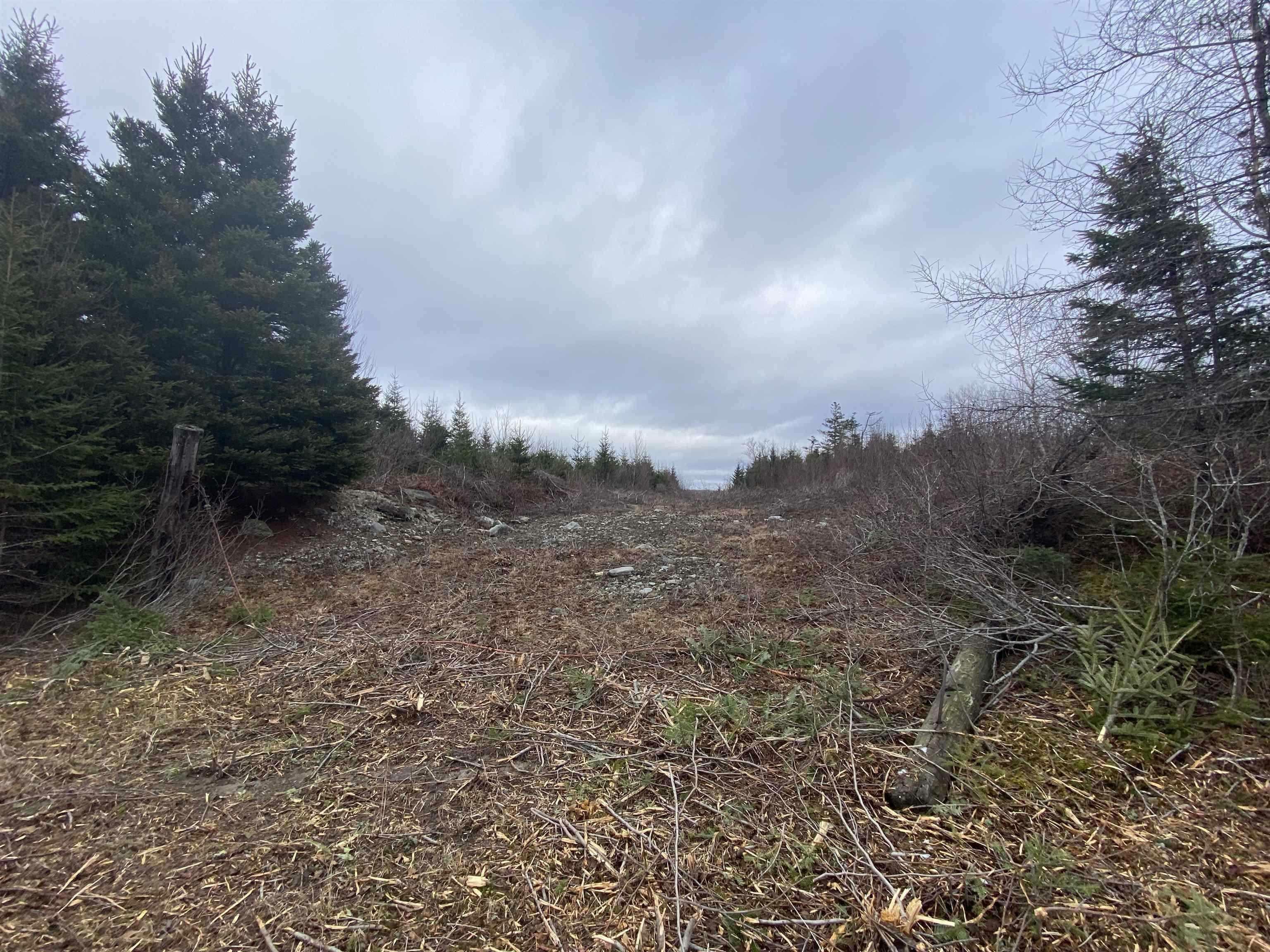 Property Photo:  Lot 22 & 23 Trafalgar Rd Highway 374  NS B0J 3B0 