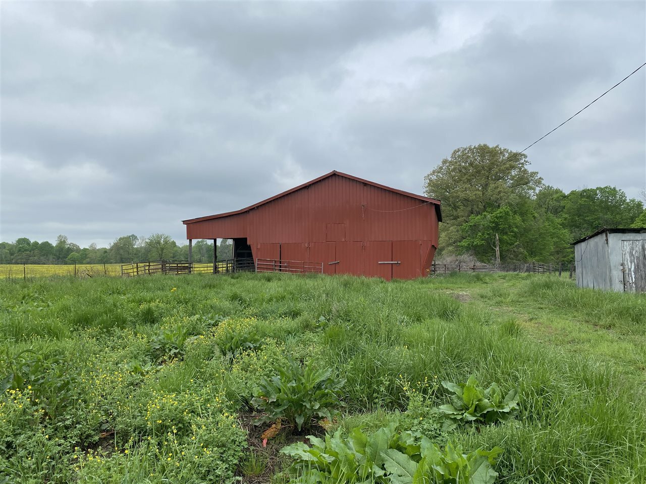 Property Photo: 11875 Priceville Road KY 42749