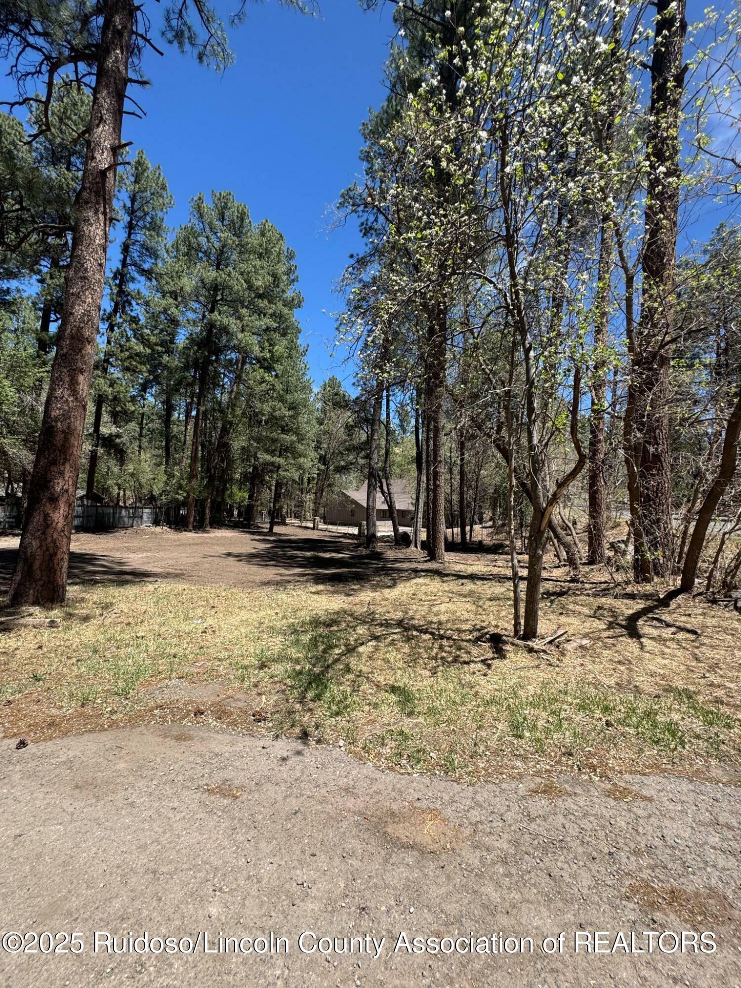 Property Photo:  200 Main Road  NM 88345 