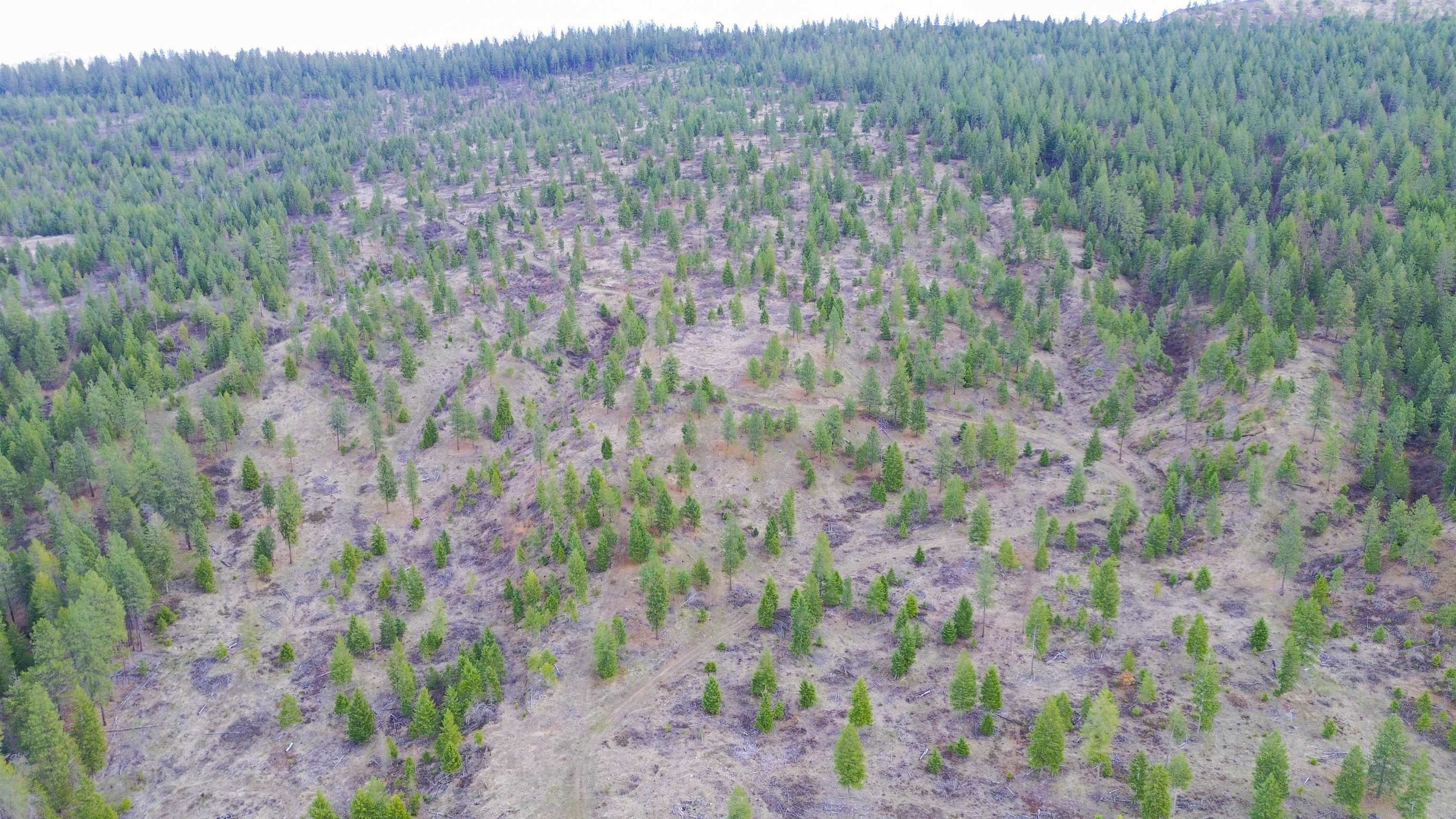 Property Photo: 3329 B 231 Hwy WA 99181