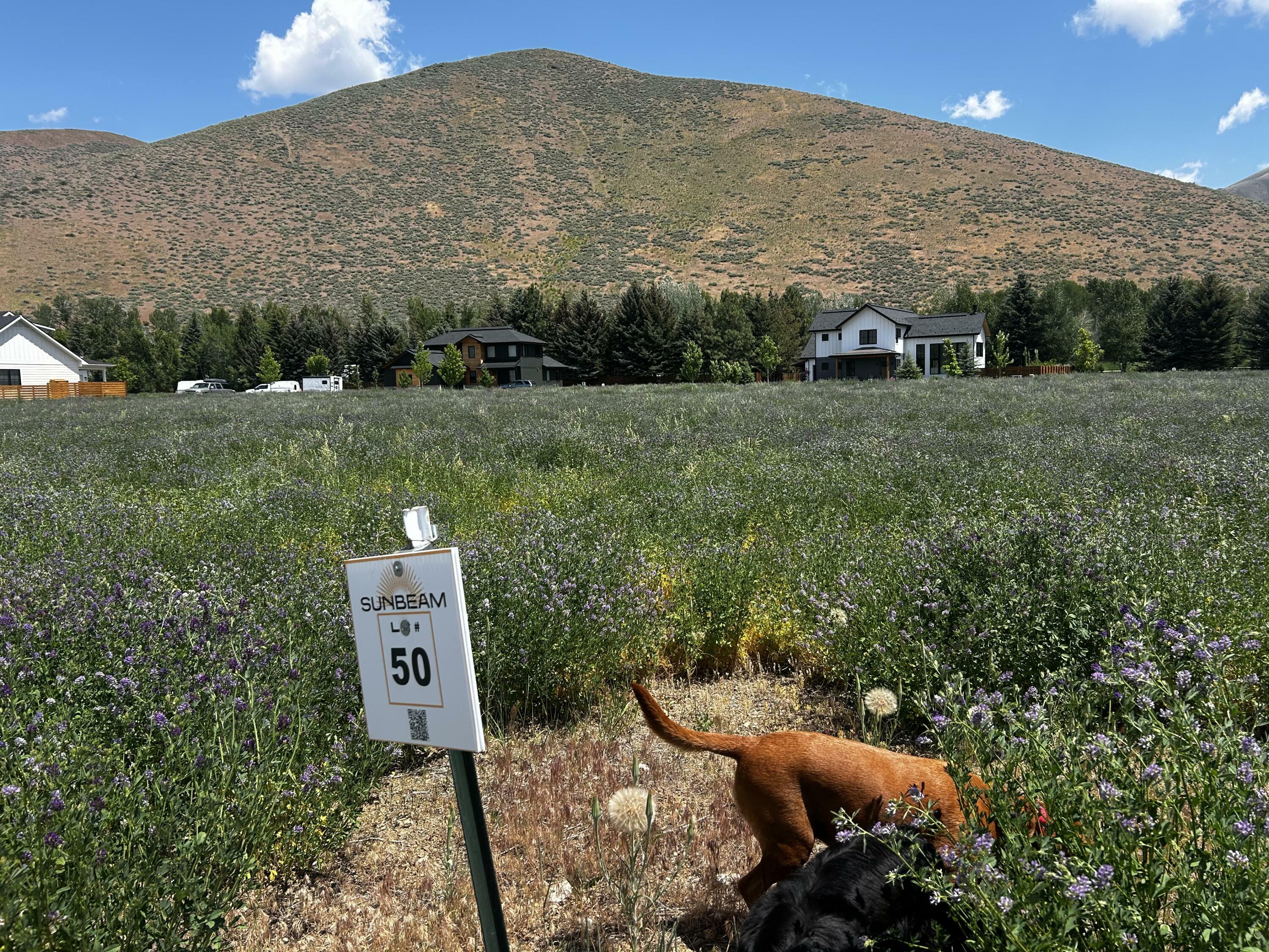 Property Photo:  Tbd San Badger Or Eclipse Dr  ID 83333 