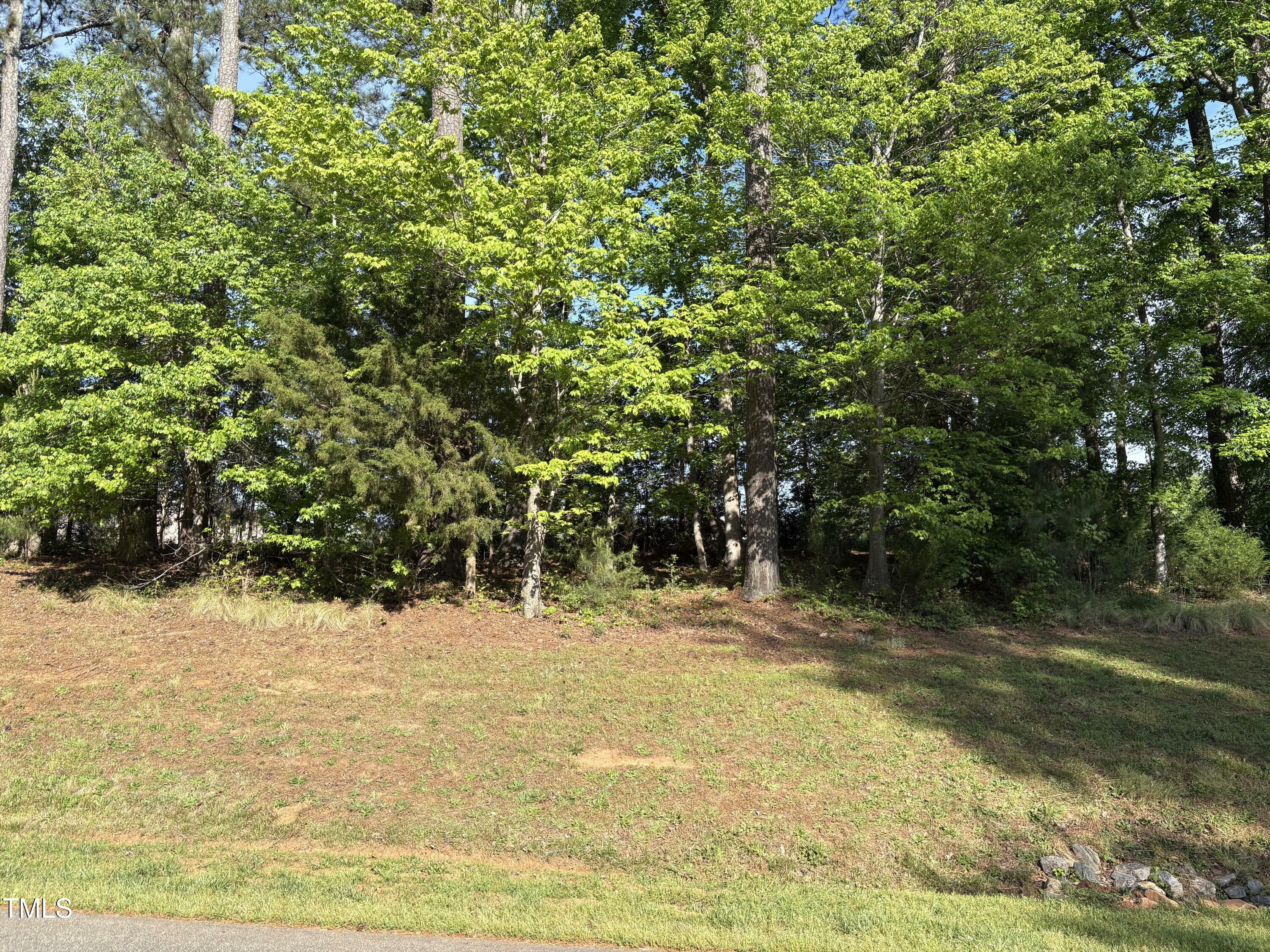 Property Photo: 1123 Dovefield Lane NC 27596