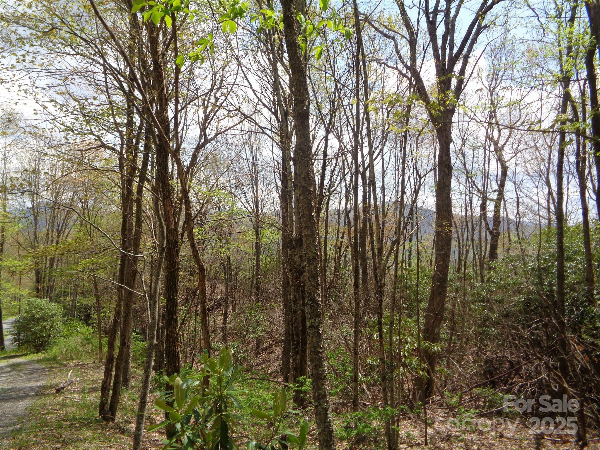 Property Photo:  00 Bent Tree Road  NC 28751 