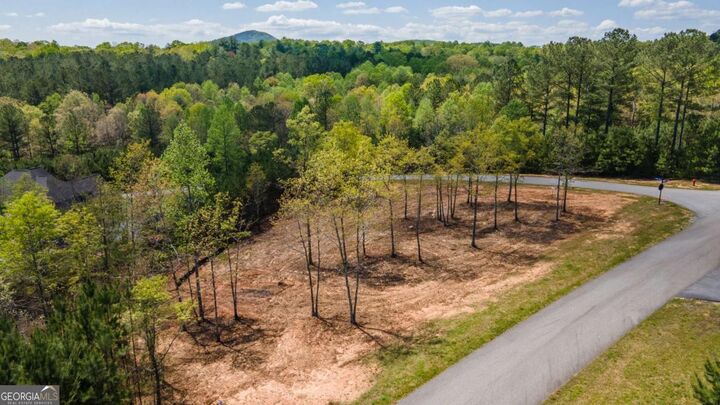 Property Photo: Lot 41 Sandy Lake Lane GA 30512