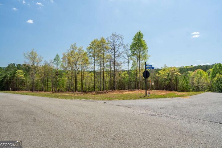 Property Photo:  Lot 41 Sandy Lake Lane  GA 30512 