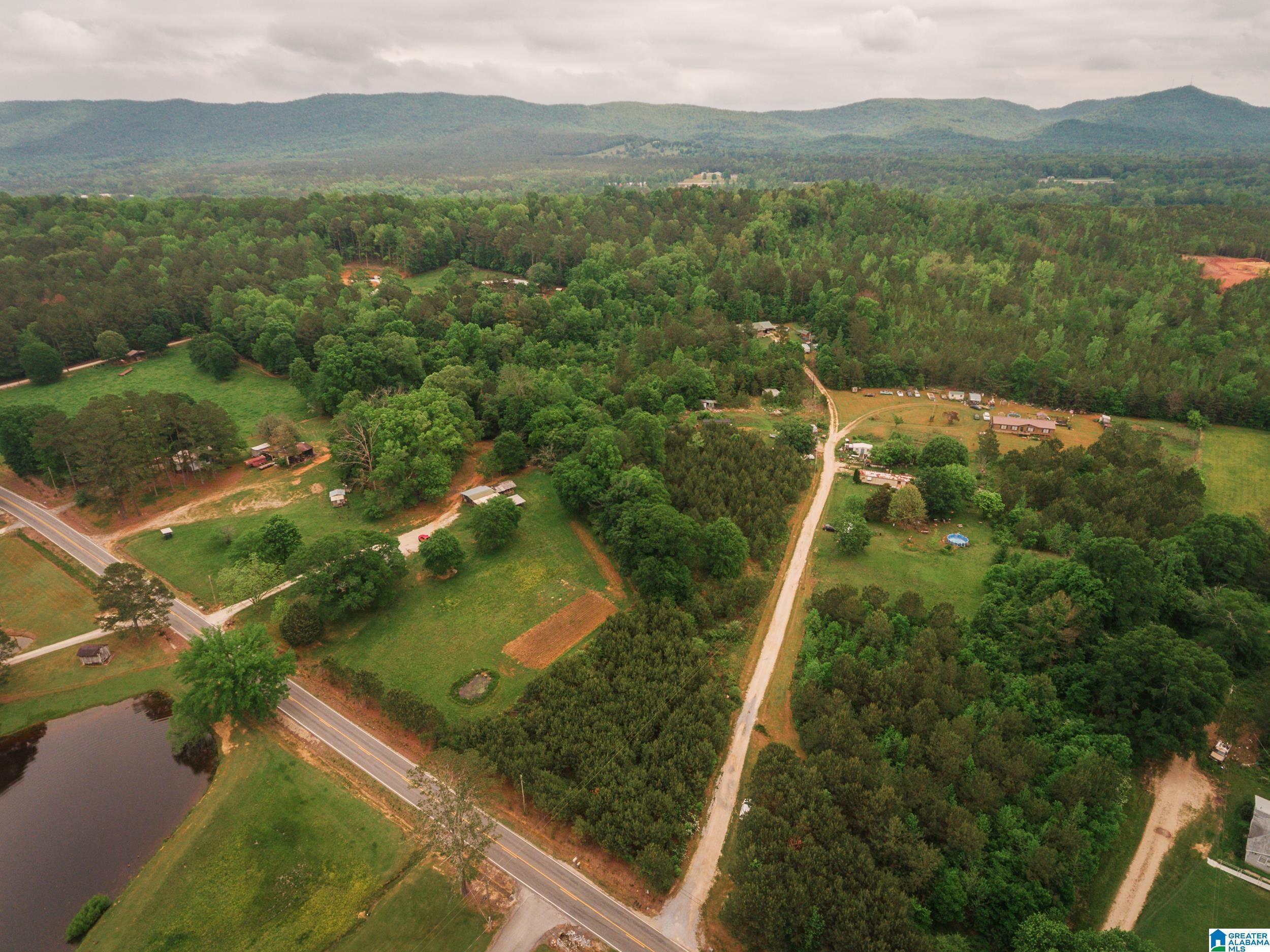 Property Photo: 600 Possum Trot Road 10.34 AL 36272
