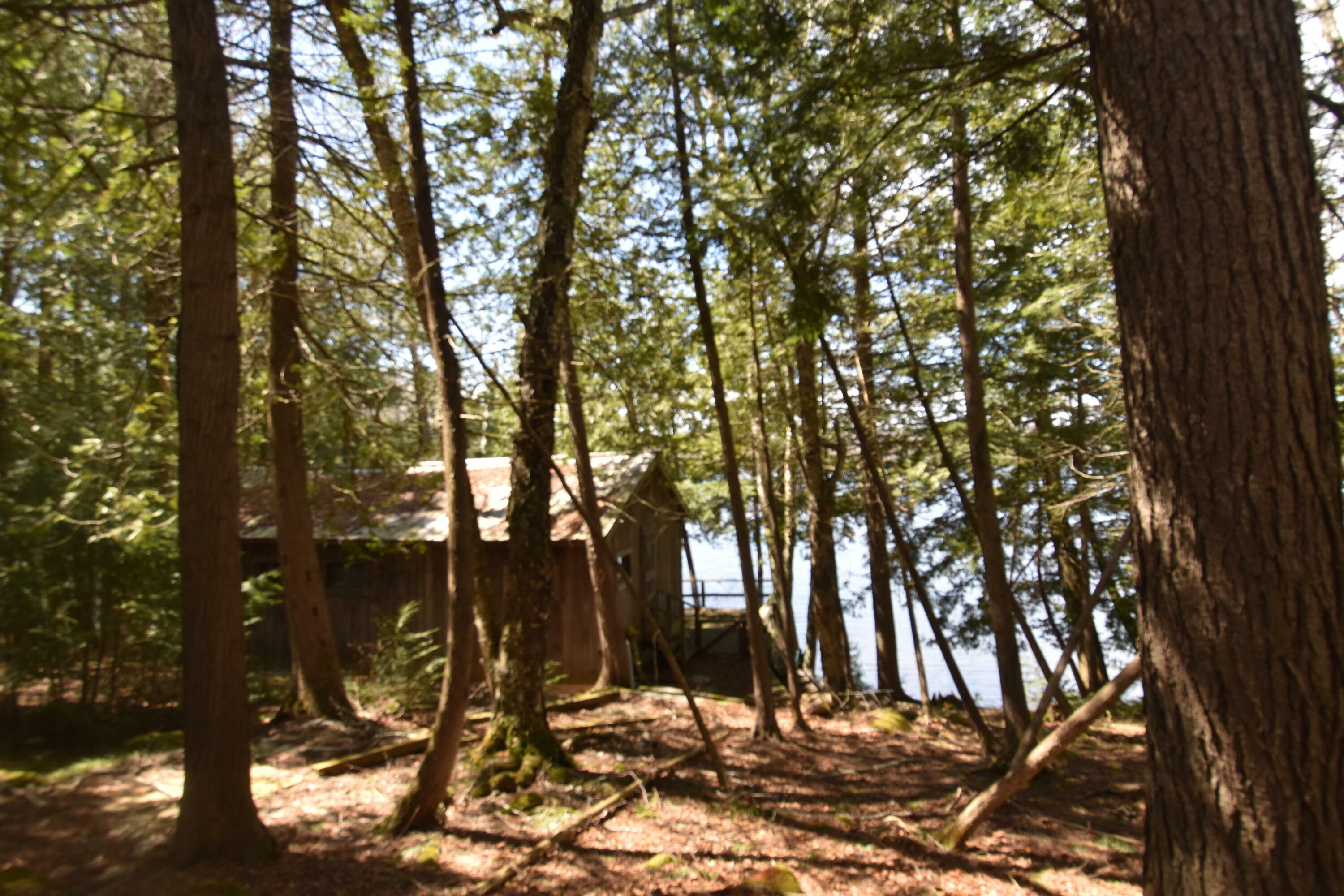Property Photo: 77 Orchard Drive ME 04971
