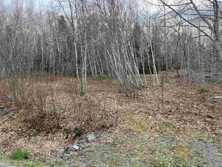 Lot 2 Sarty Road — photo 1