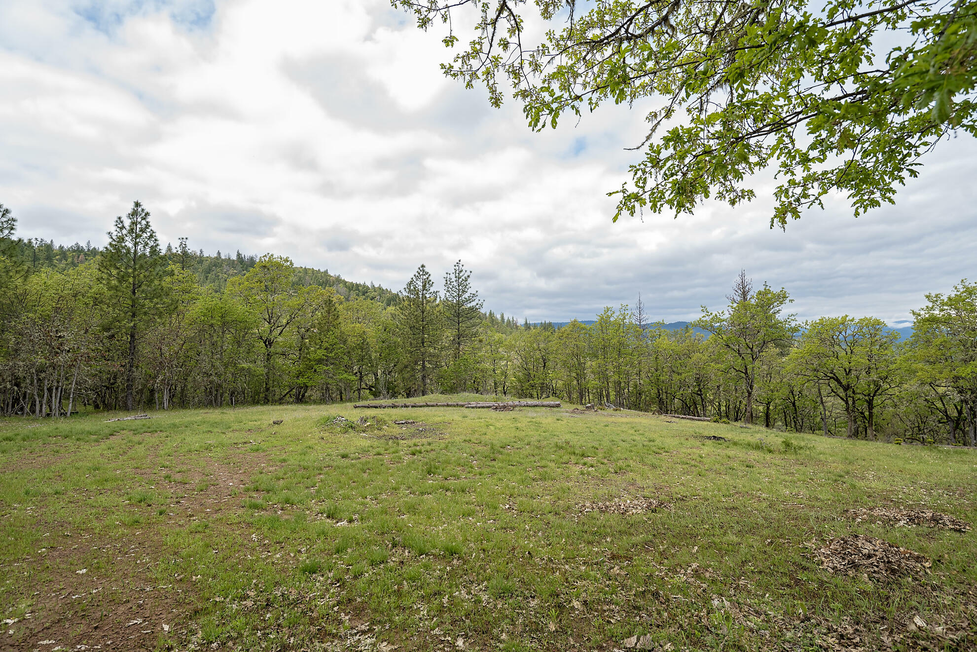 Property Photo: 0 Cabetowne Way OR 97539