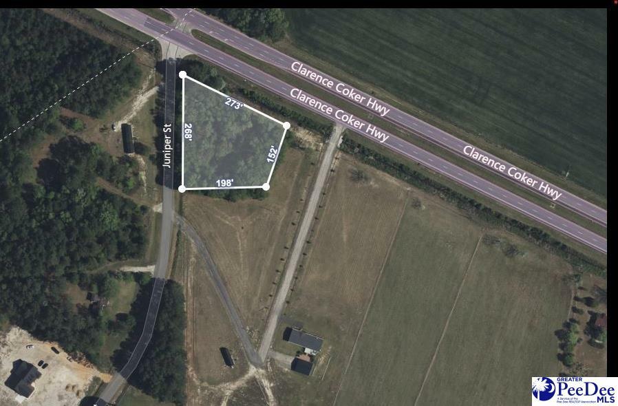 Property Photo: Tbd Clarence Coker Hwy SC 29162