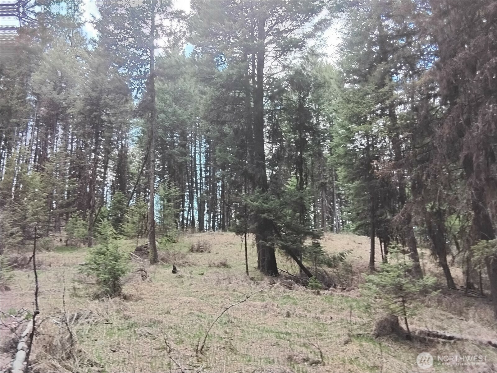 Property Photo: 104 Pine Chee Road WA 98844