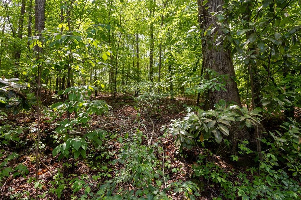 Property Photo: 0 Lower Scott Mill Road GA 30115