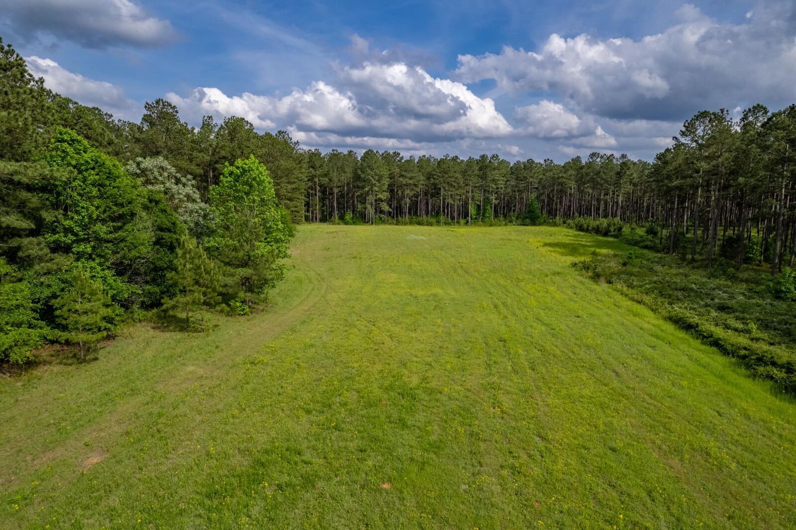 Property Photo: 0 Jordans Mill Rd GA 30678