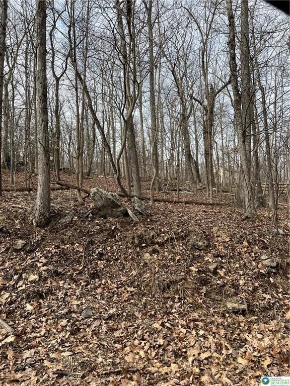 Property Photo:  537 Maxatawny Drive  PA 18347 