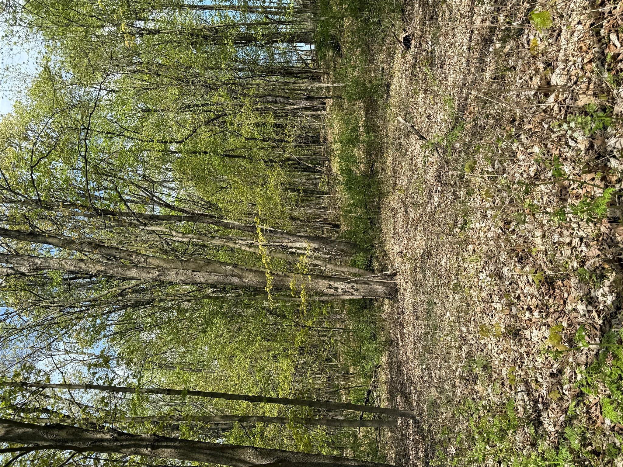 Property Photo: 120 Floyd Ackert Road NY 12493