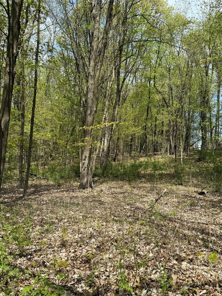 Property Photo:  120 Floyd Ackert Road  NY 12493 