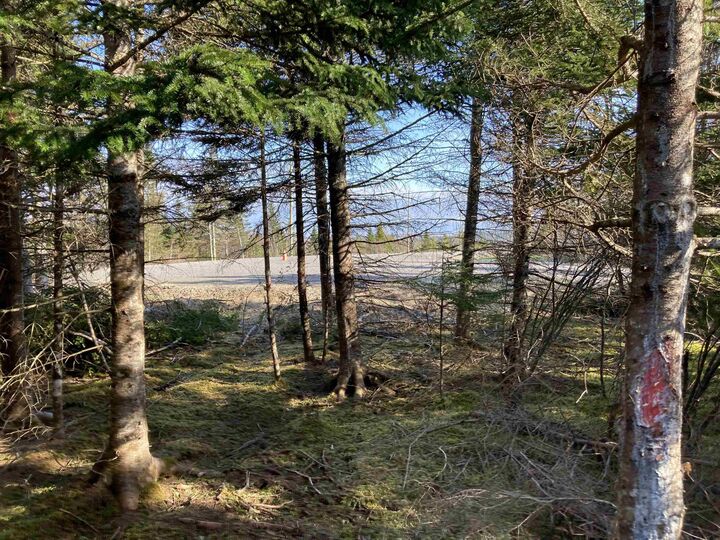 Property Photo: Lot 21-8 Mary Cecelia Ridge NS B0H 1P0