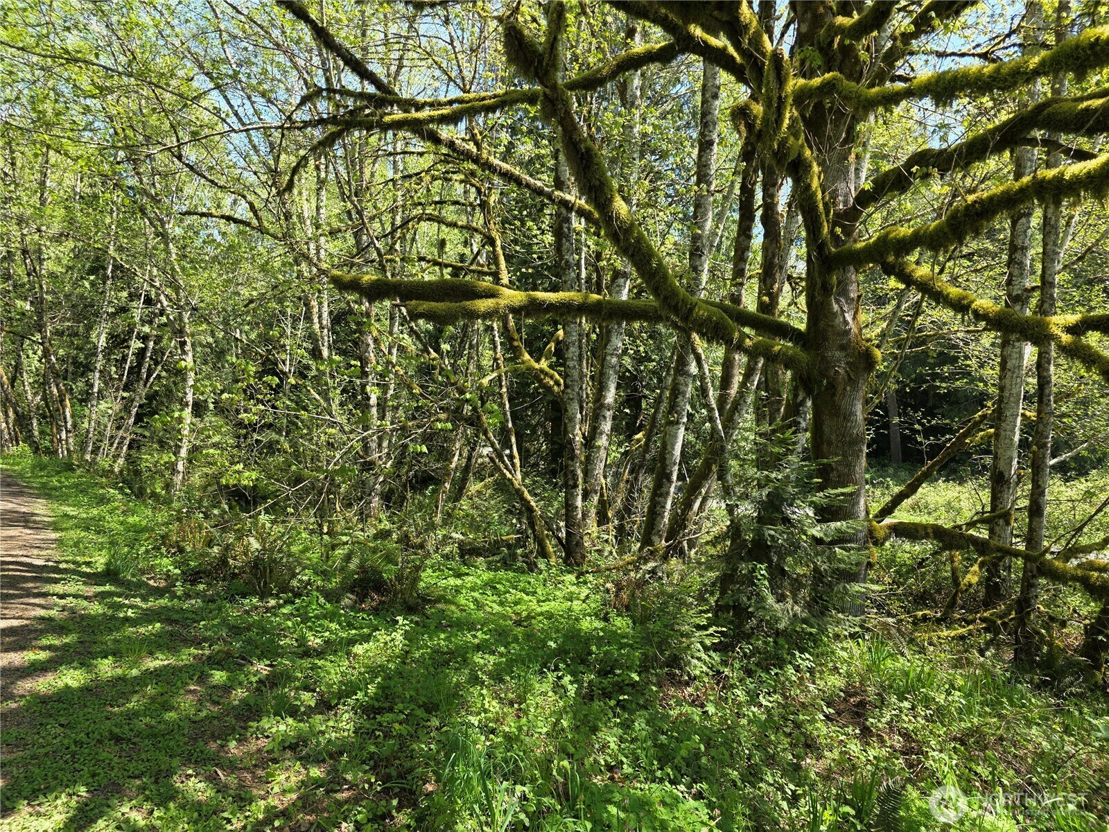 Property Photo: 0 Mill Falls Lane WA 98632