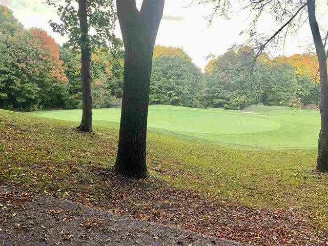 Property Photo: Lot 183 Troon South MI 49615