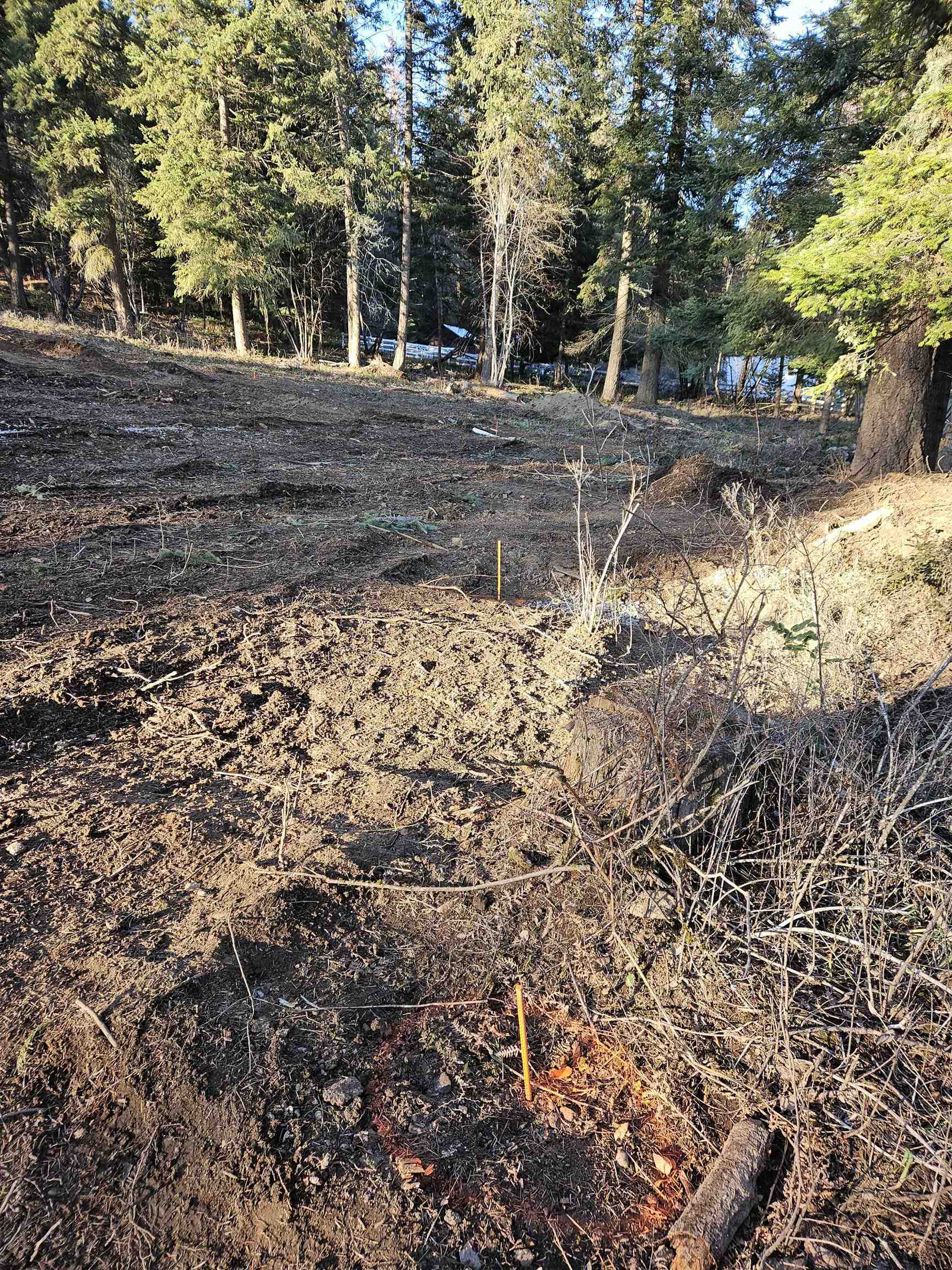 Property Photo: 24321 E Hauser Lake Rd WA 99025