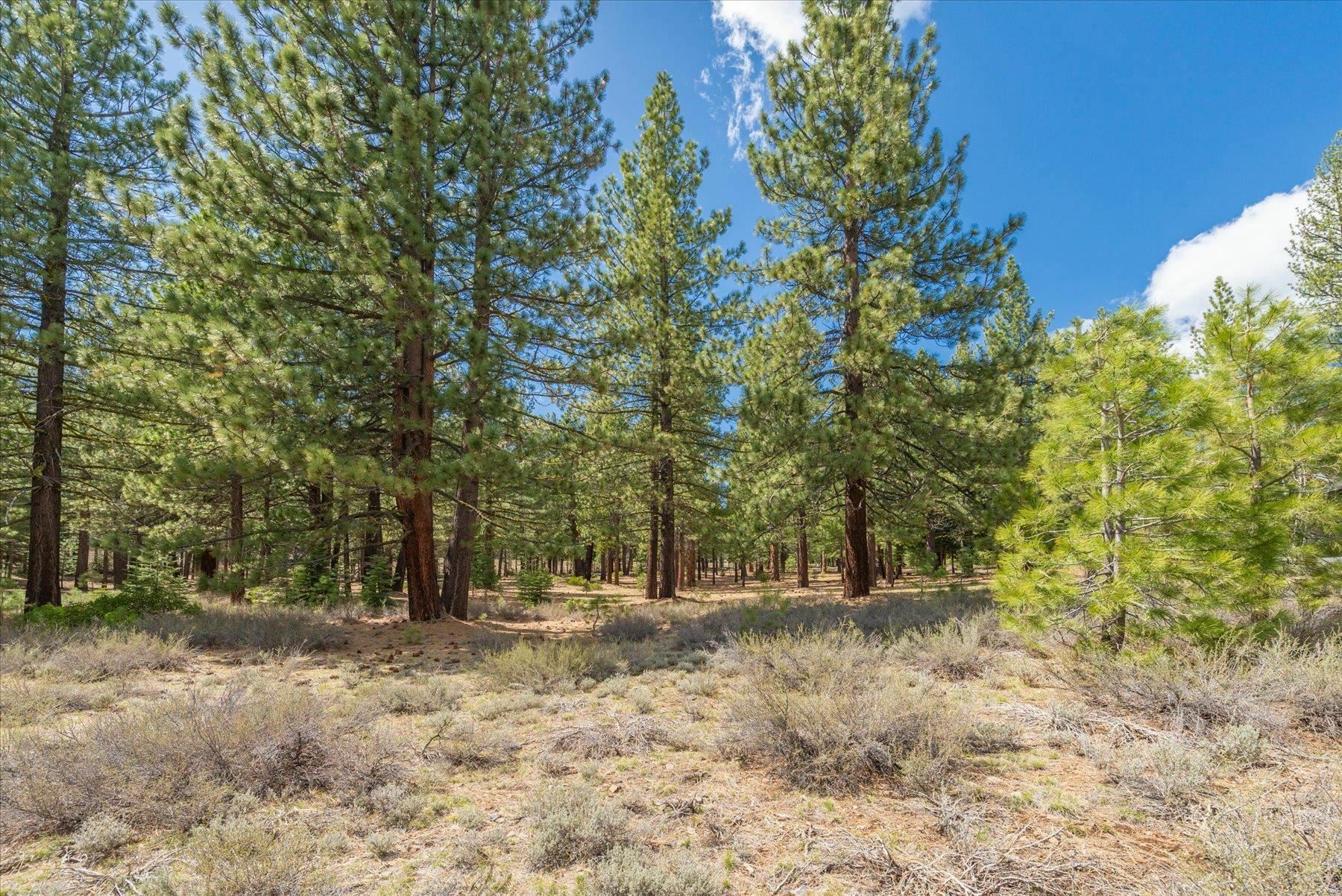 Property Photo:  11690 Bottcher Loop  CA 96161 