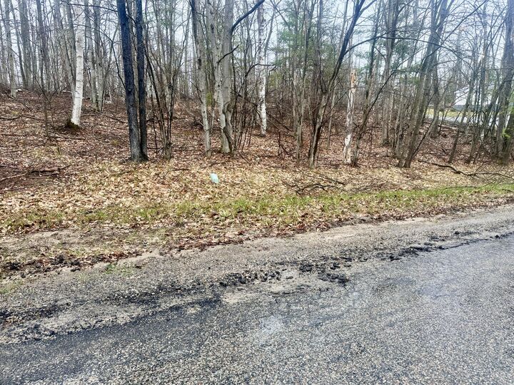 Lot 1618 Pheasant Run  Gaylord MI 49735 photo