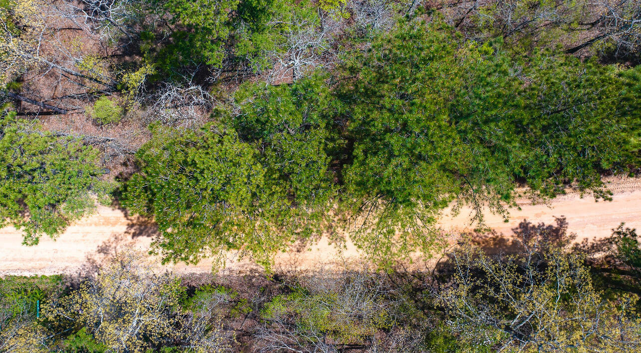 Property Photo: Lot 4 Bluffwood Road SC 29164