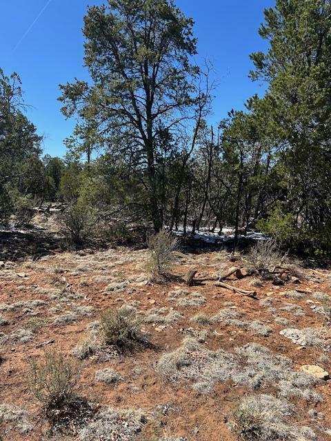 Property Photo: 7720 Mogollon Trail AZ 86024