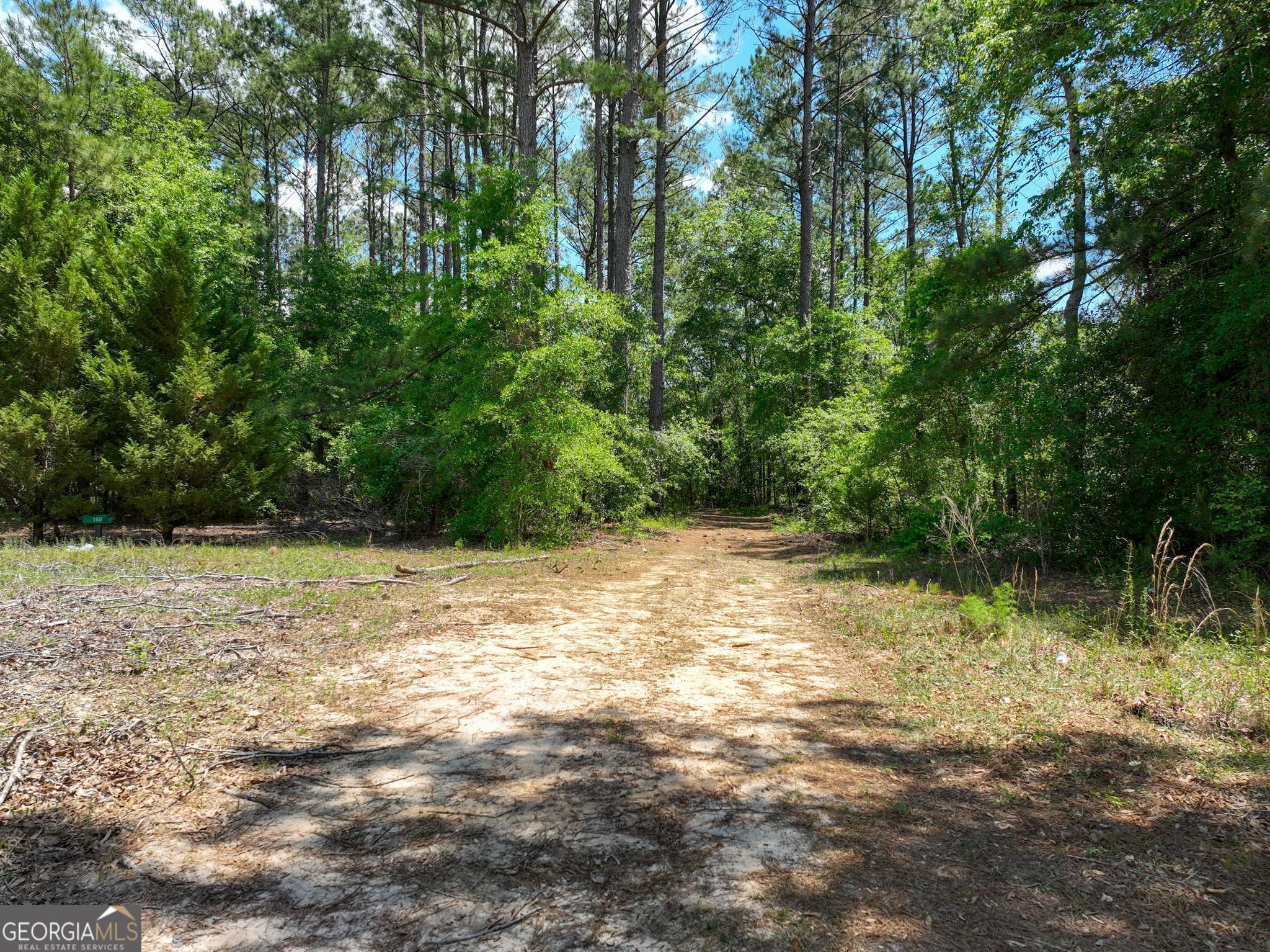 760 Memphis Road  Metter GA 30439 photo