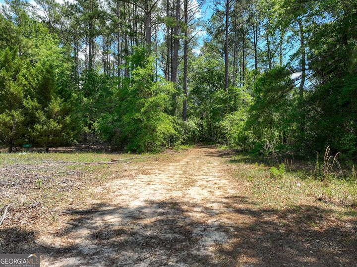 760 Memphis Road  Metter GA 30439 photo