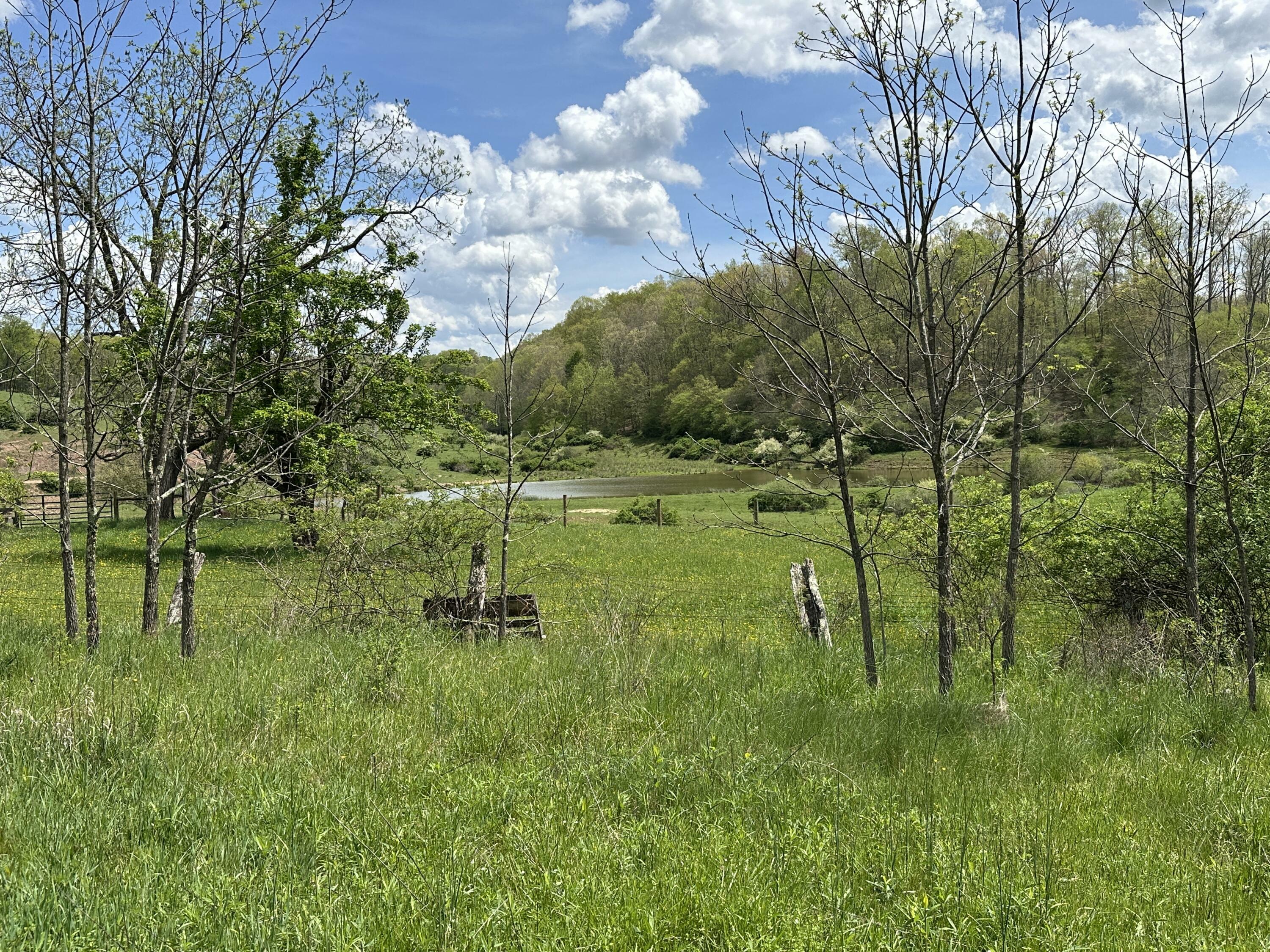 Property Photo: Vago Rd WV 24938