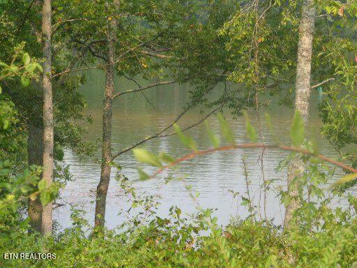 Property Photo: 123 Emory Cove Drive TN 37748