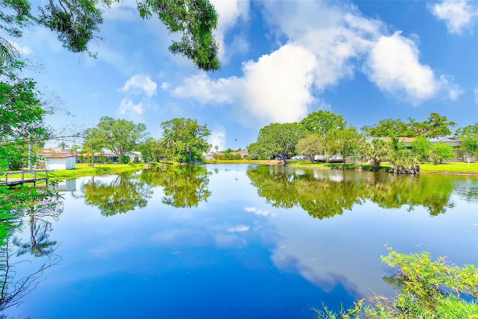 Property Photo: 127 Lake Judy Lee Drive FL 33771