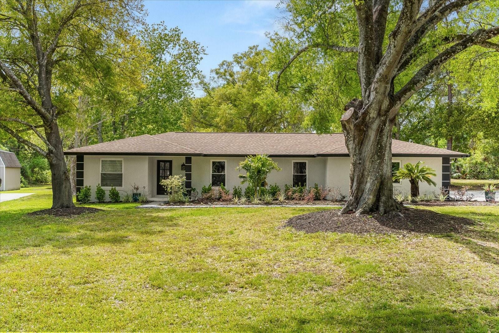 1113 Black Acre Trail  Winter Springs FL 32708 photo