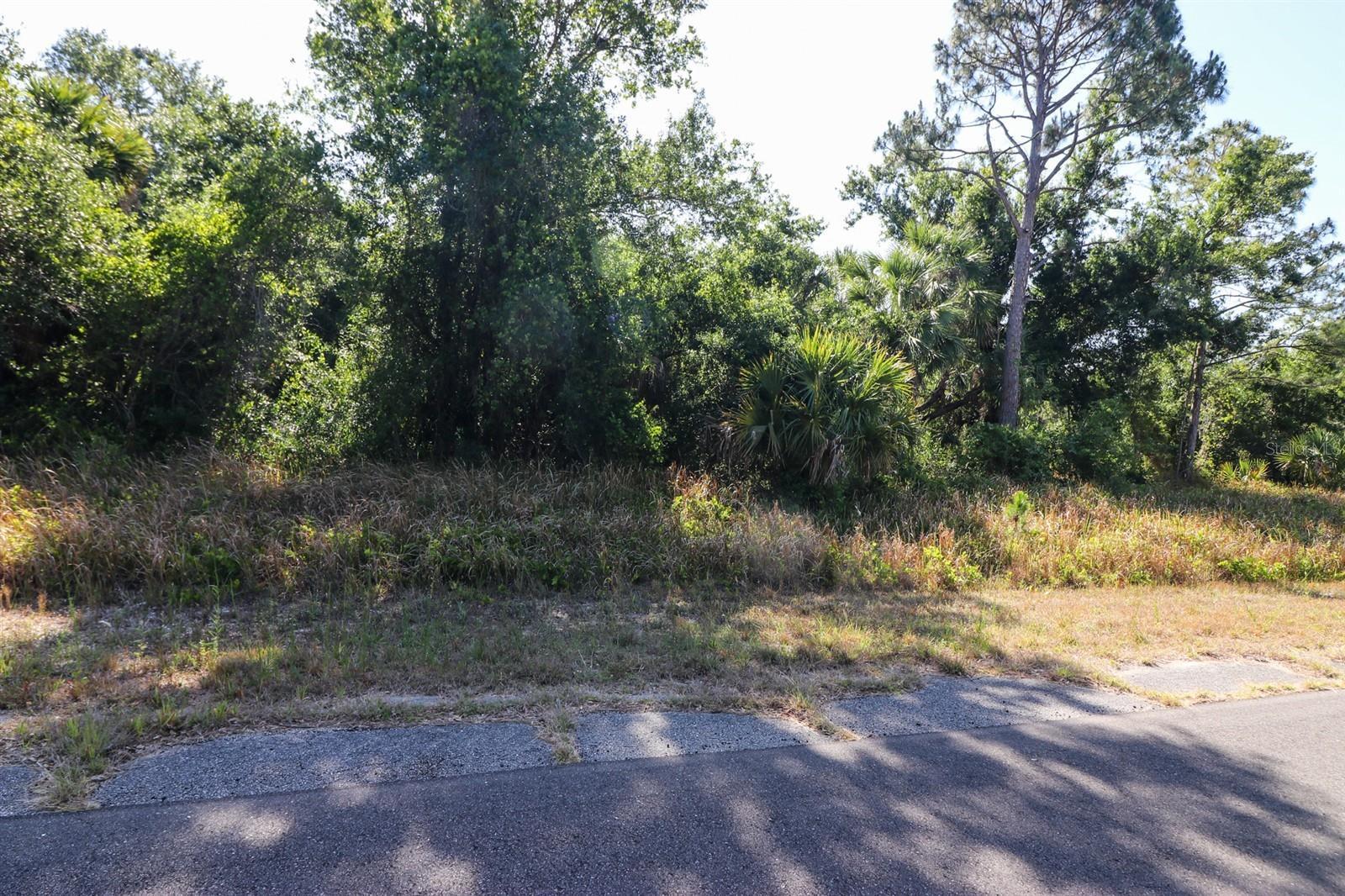 Property Photo:  Hamerton Road  FL 34288 