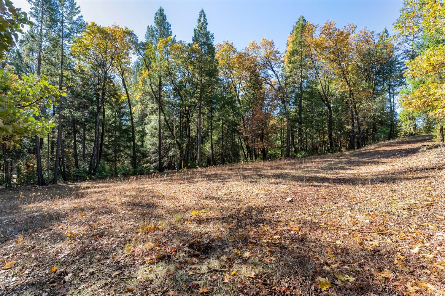 Property Photo: 13837 Gemini Court CA 95959