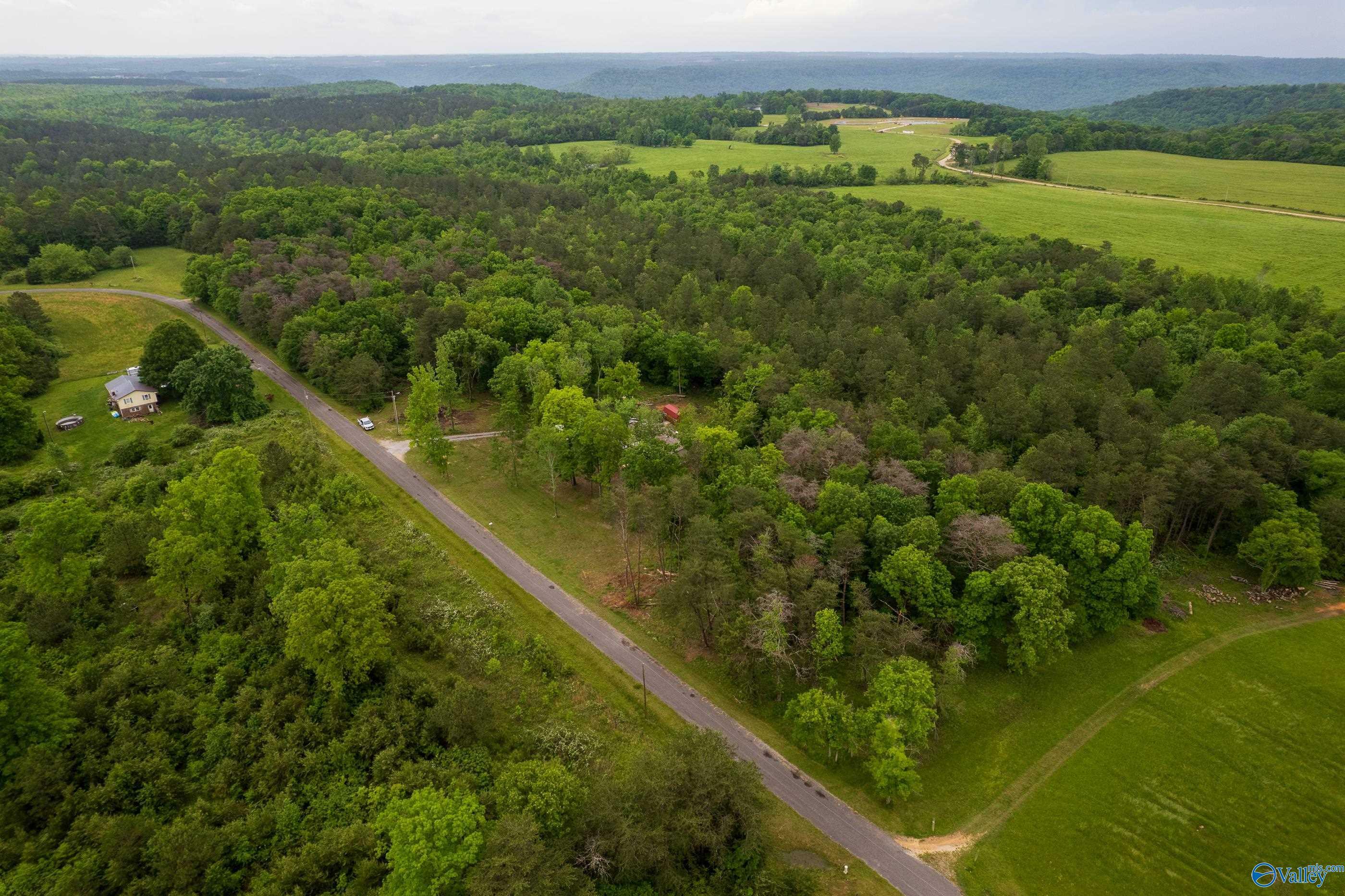 Property Photo: 287 County Road 431 AL 35958