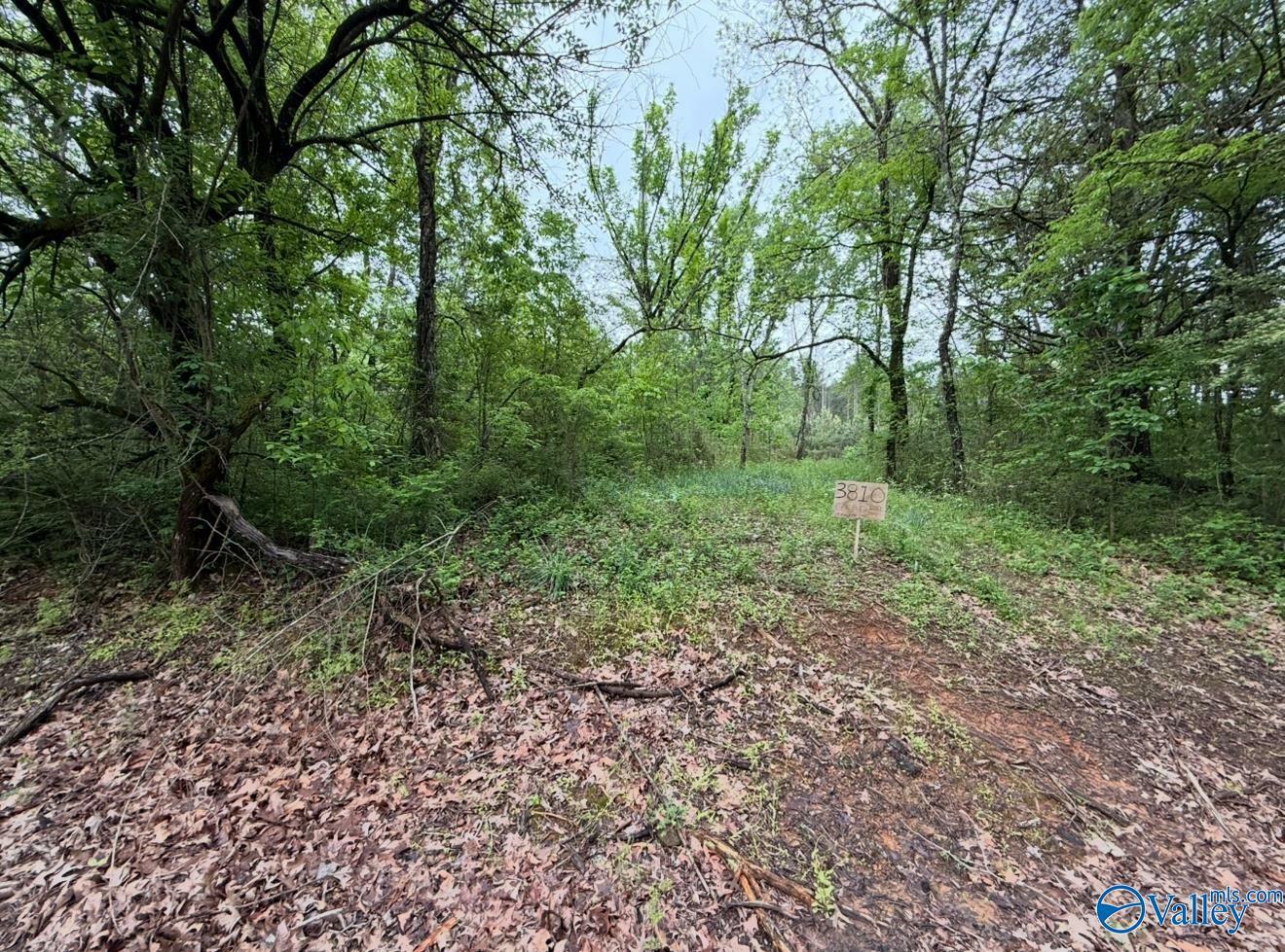 Property Photo: 3810 County Road 59 AL 35650
