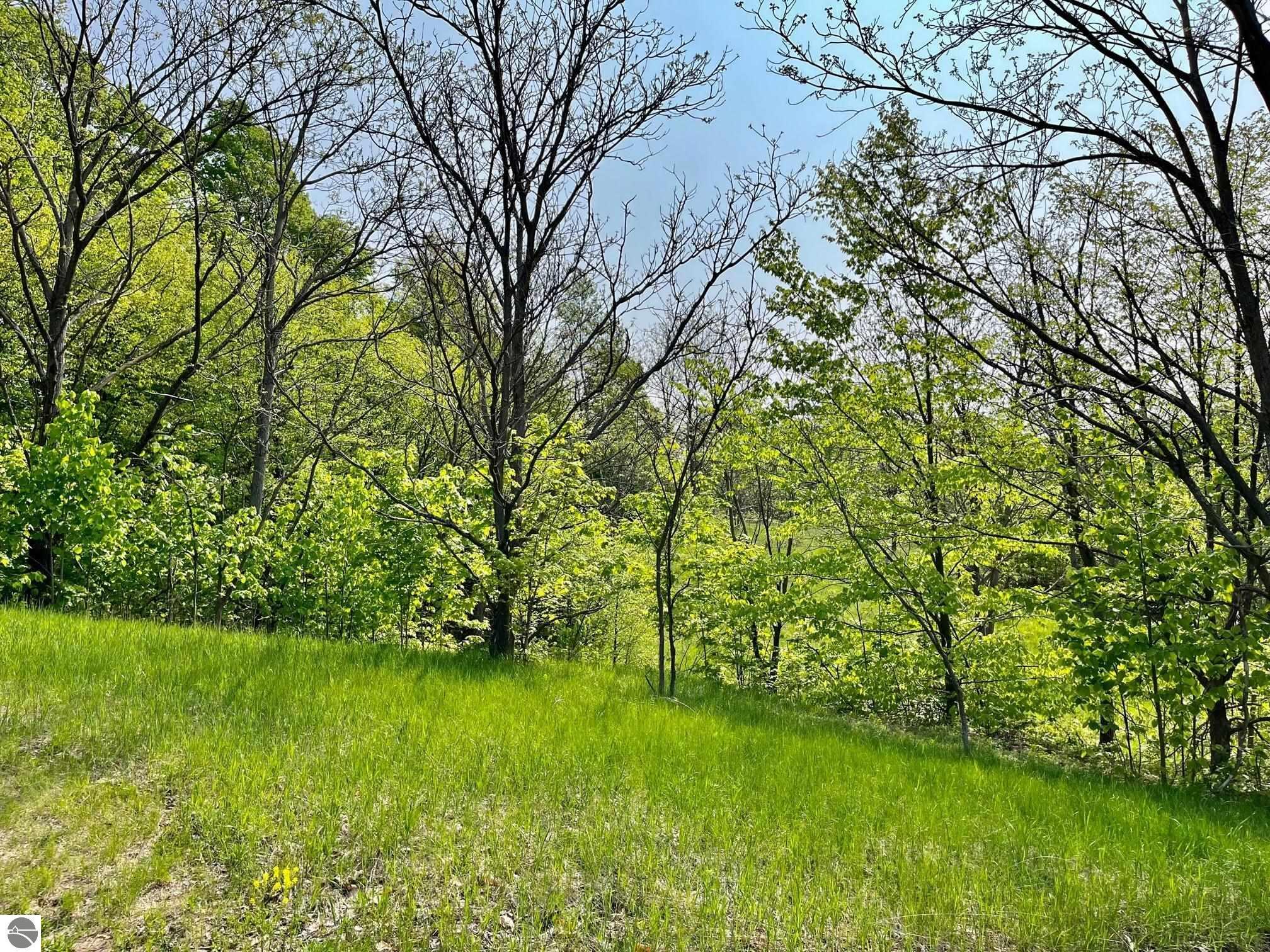 Property Photo:  Units 162 &Amp 163 Spyglass Hill Court  MI 49615 