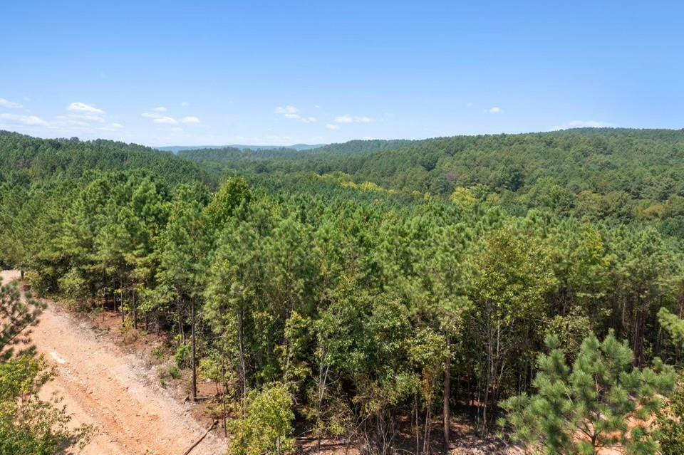 Property Photo: 317 Marked Pine Lane OK 74728