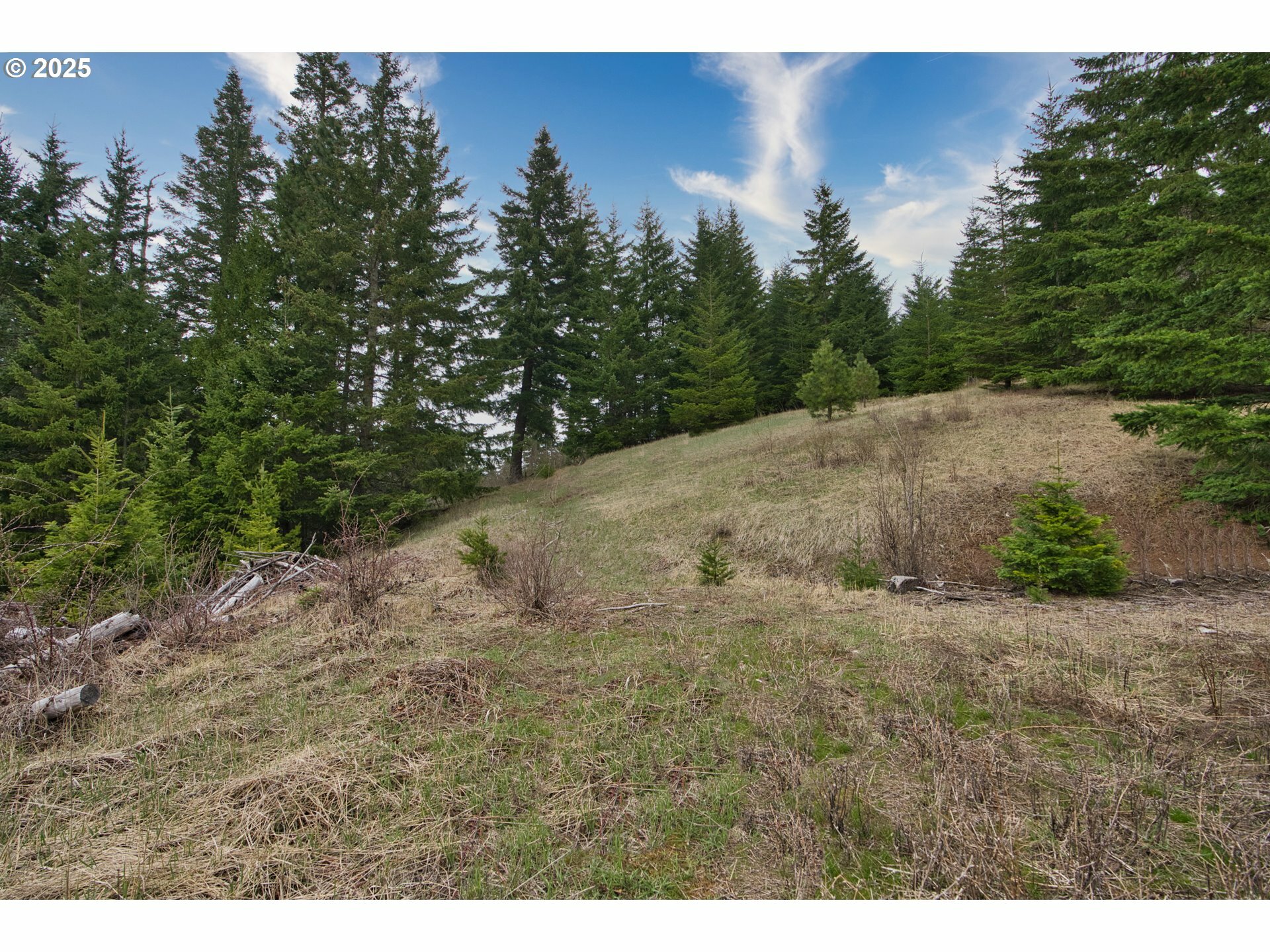 15 Brookside Dr  White Salmon WA 98672 photo