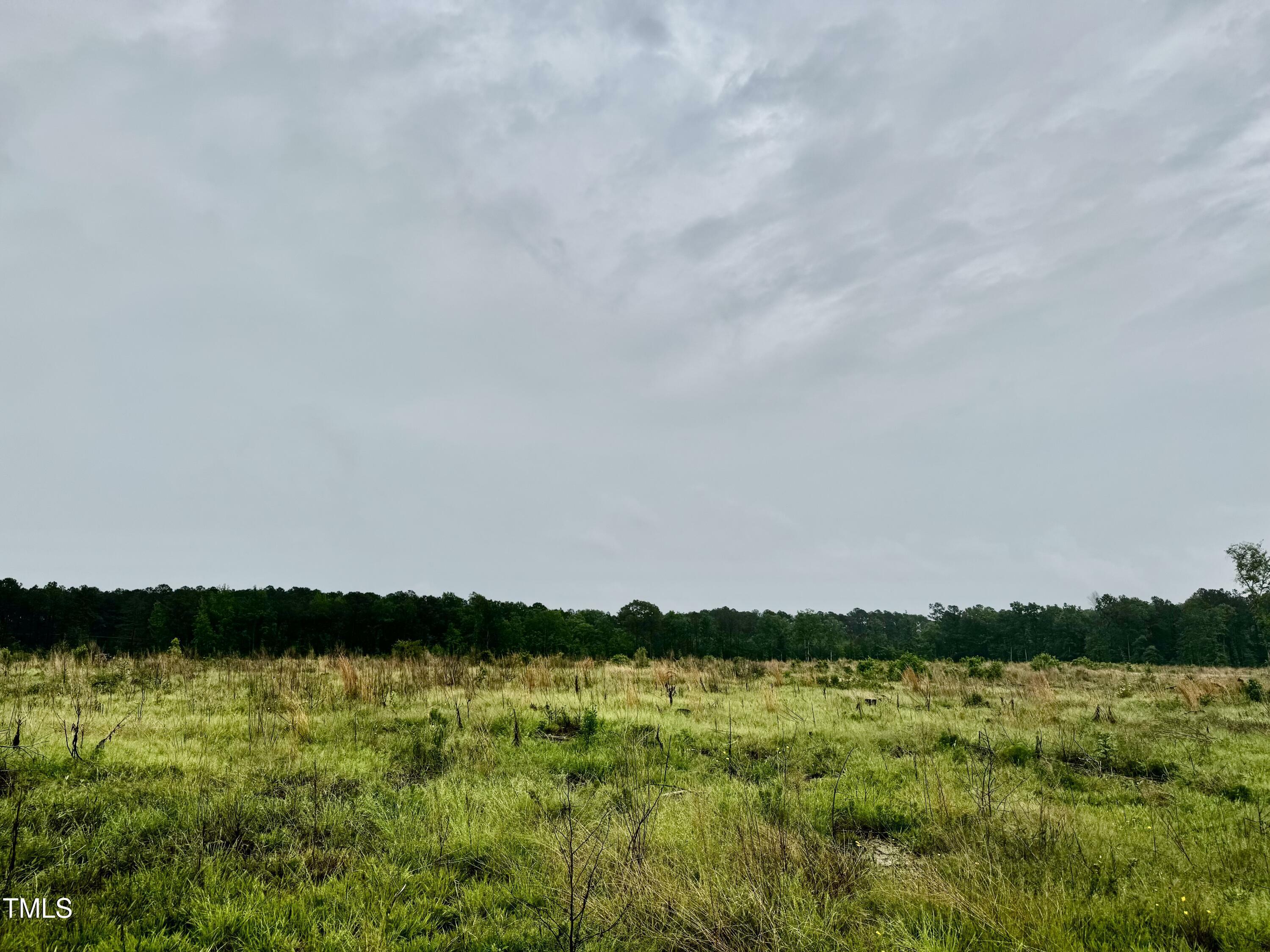 Property Photo: 0 N Nc 11 Highway NC 27855