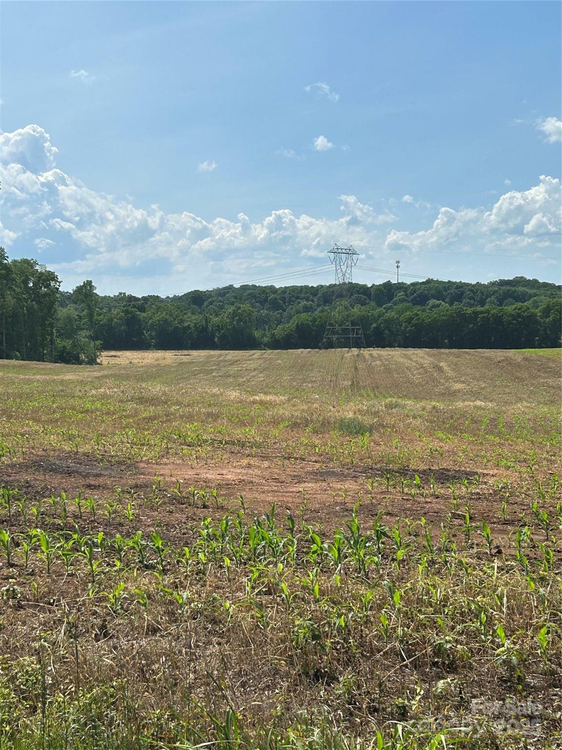 Property Photo:  000 Long Branch Road  NC 28147 