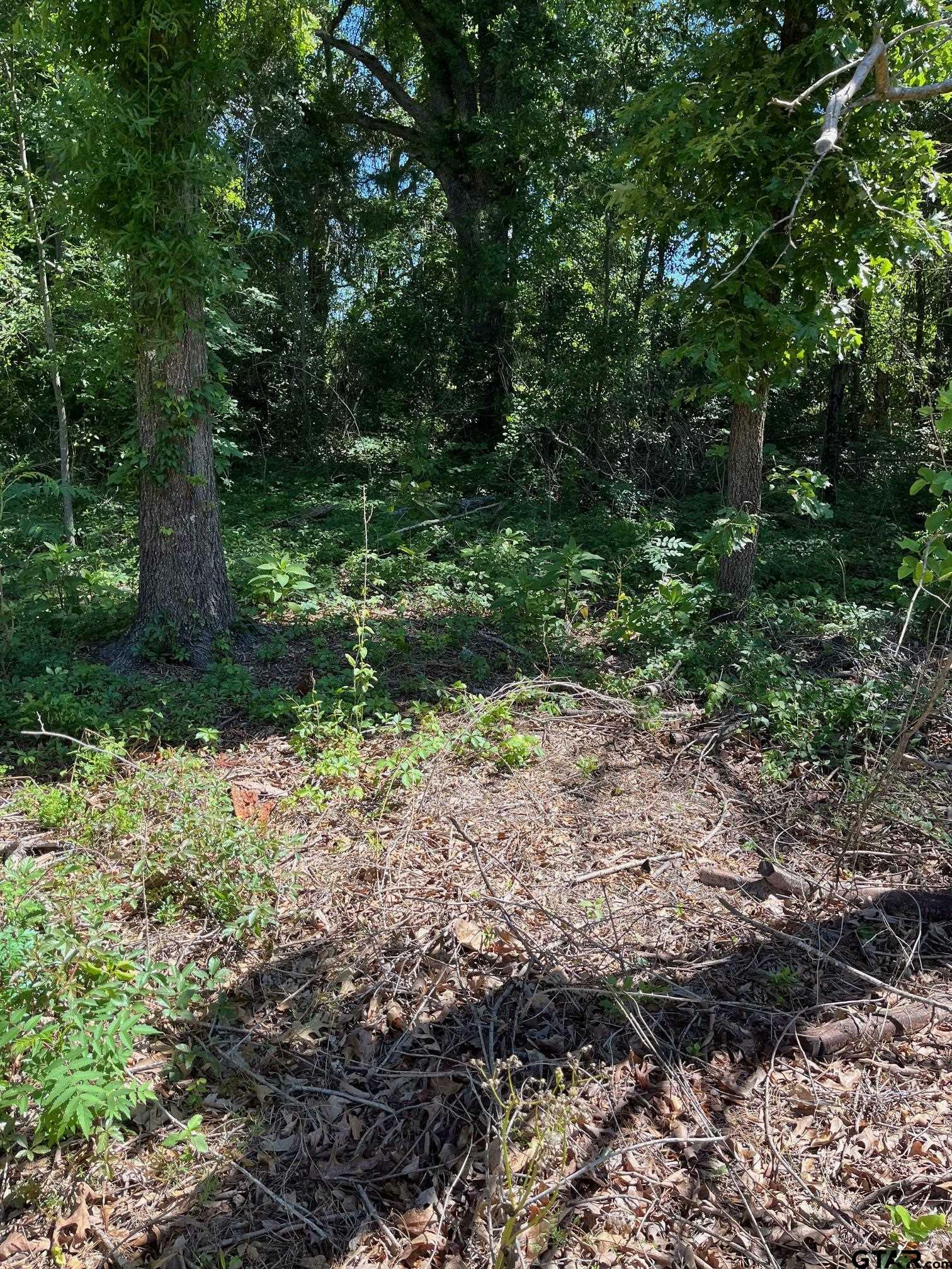 Property Photo: Tbd Fm 1801 TX 75773