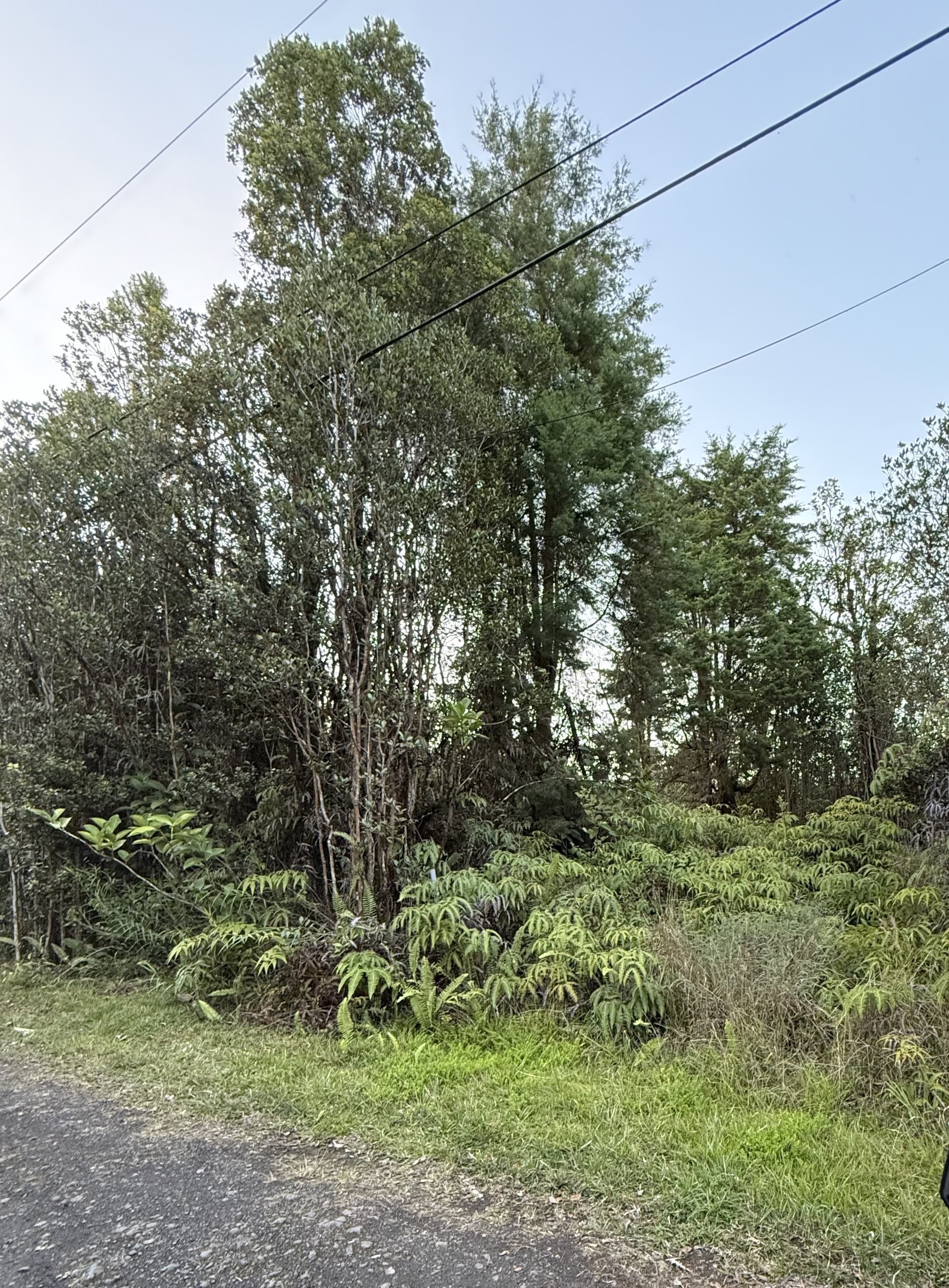 Property Photo: 11-1758 Mahina St HI 96771