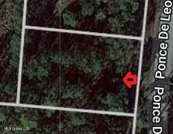 Property Photo: 647 Ponce De Leon Boulevard MS 39571
