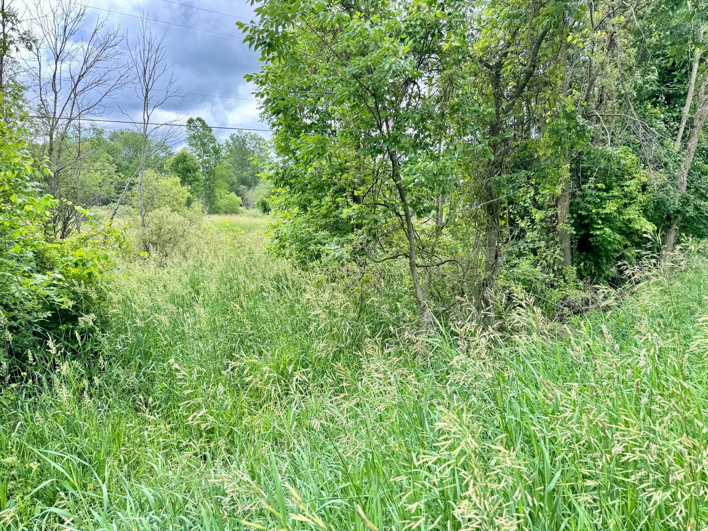 Property Photo: 11280 Willow Avenue MI 49327