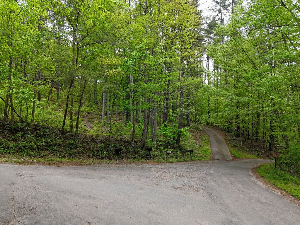 Property Photo: Tract 3C Riverside Drive GA 30546