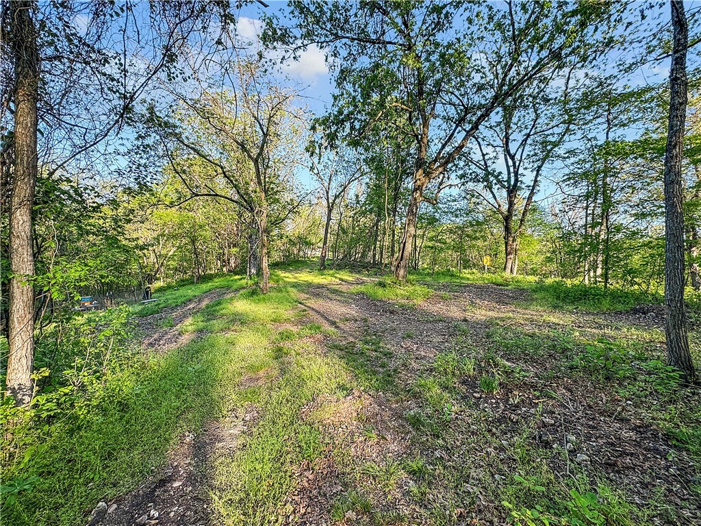 Property Photo: W US 62 Highway AR 72631