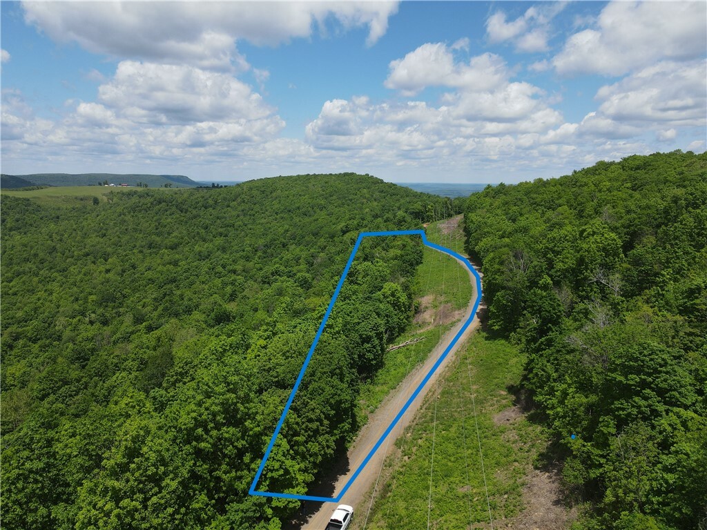 Lick Fork Road  Witts Springs AR 72686 photo